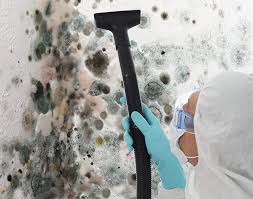 Trusted Salem, OH Mold Prevention & Removal  Experts